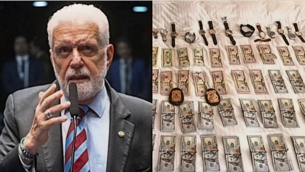 O colecionador